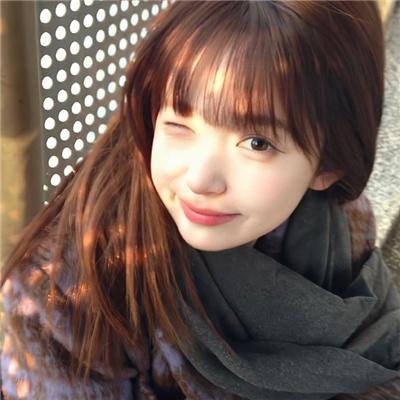 恐龙·怪鸟的传说